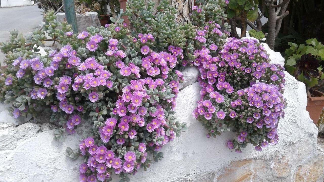 דירות פסקיצ'י Borgo Antico מראה חיצוני תמונה